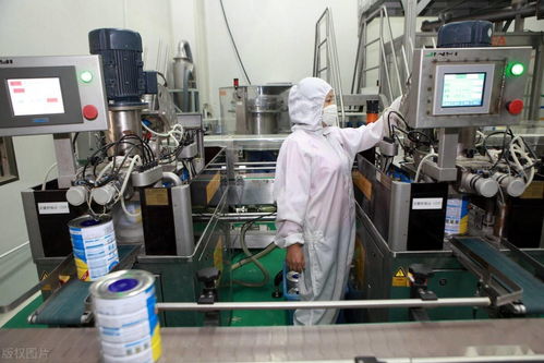 打造乳制品之鄉 在哪里