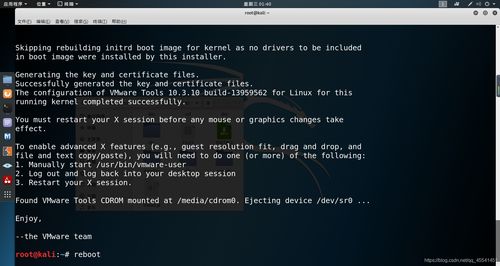 kali相關的配置源和網絡適配器