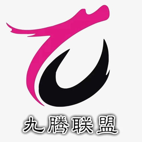 天貓店群 怎么做 需要多少錢 能賺錢嗎 九騰用數據來告訴你