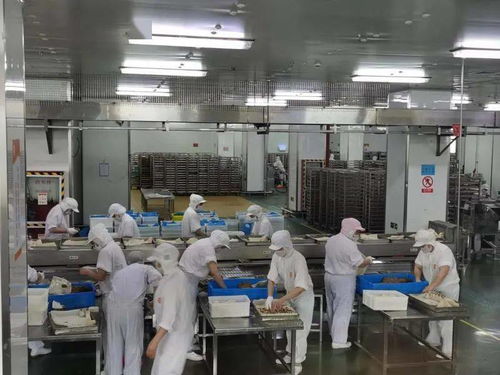 為食品生產栓牢 安全鎖 ,上海推進haccp體系100 全覆蓋