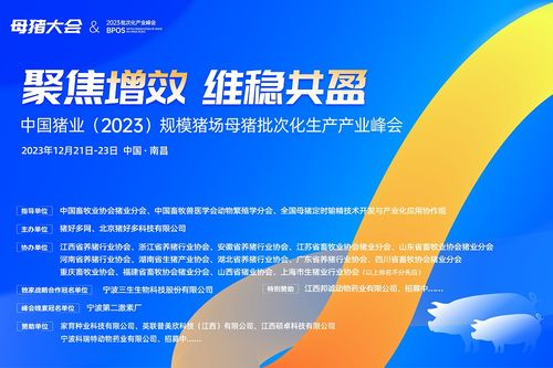一夜漲五毛 11月17日豬價 集體騰飛 ,市場看漲情緒強烈