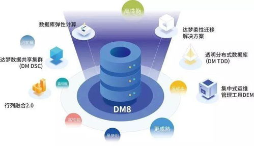 達夢受邀參加西藏信創(chuàng)峰會，助力西藏數(shù)字化轉型騰源網絡建設