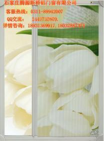 石家莊騰源如何選擇隱形紗窗 關(guān)鍵知識(shí)與價(jià)格選購(gòu)指南